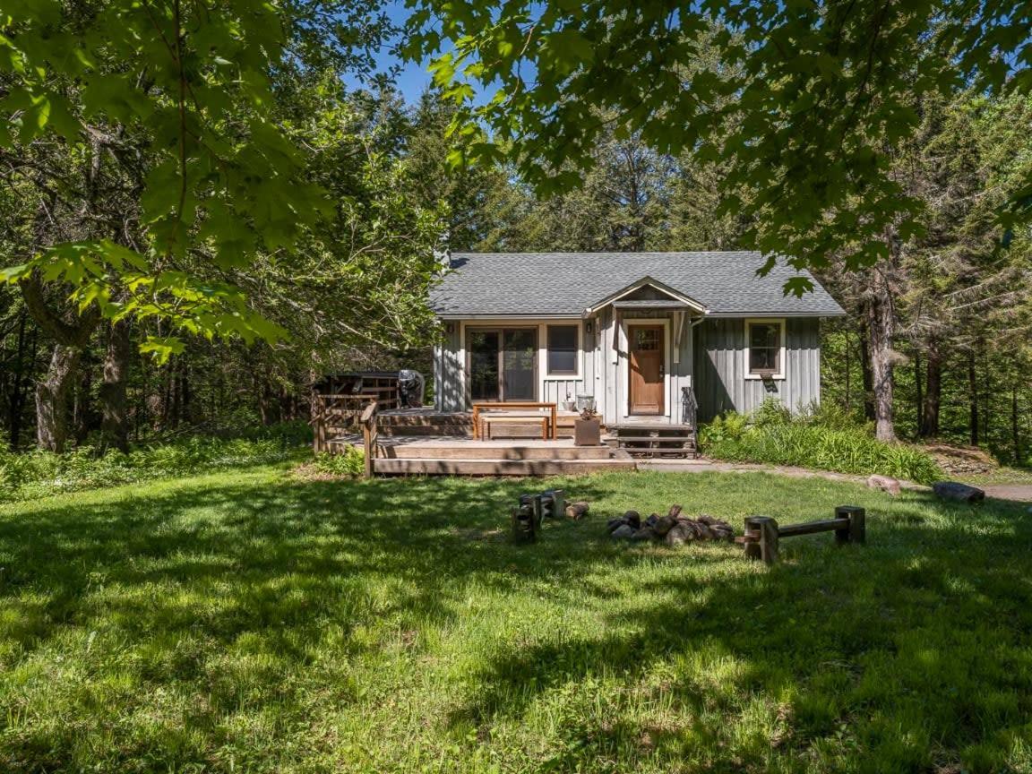 Stony Clove By Summer - Artisan Cottage With Hot Tub Lanesville Bagian luar foto